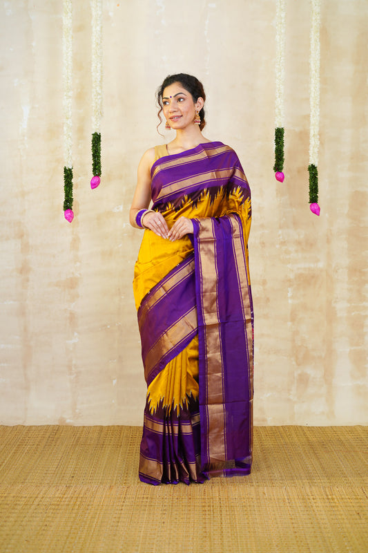 pochampally pattu sarees