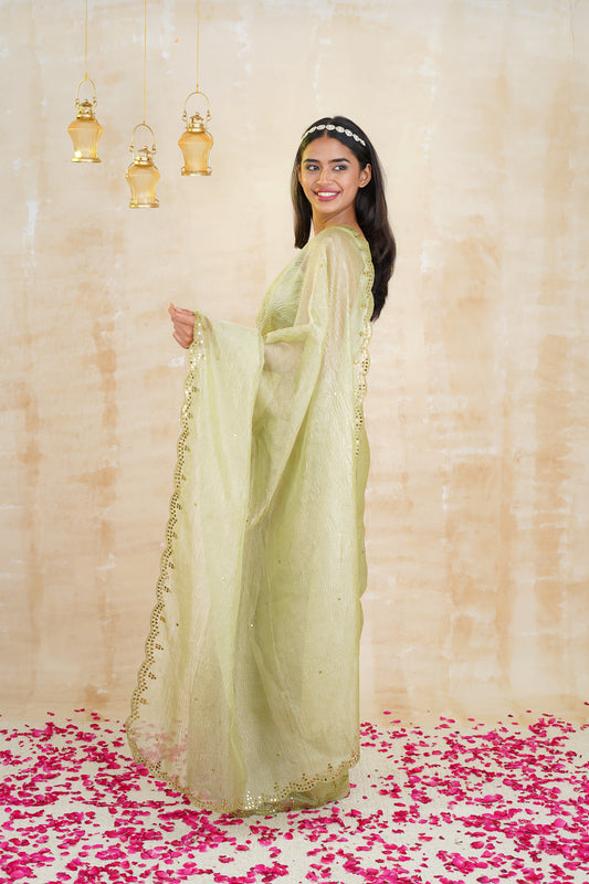 tissue sarees online